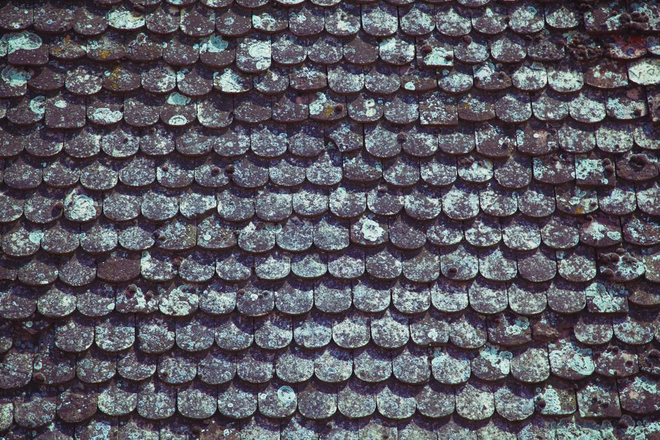 Residential homes showing different roof materials, including metal, shingles, and tile.