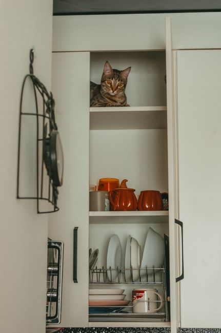 Organized small-kitchen storage with deep drawers, pull-outs, and pantry-style cabinetry keeping counters clear.