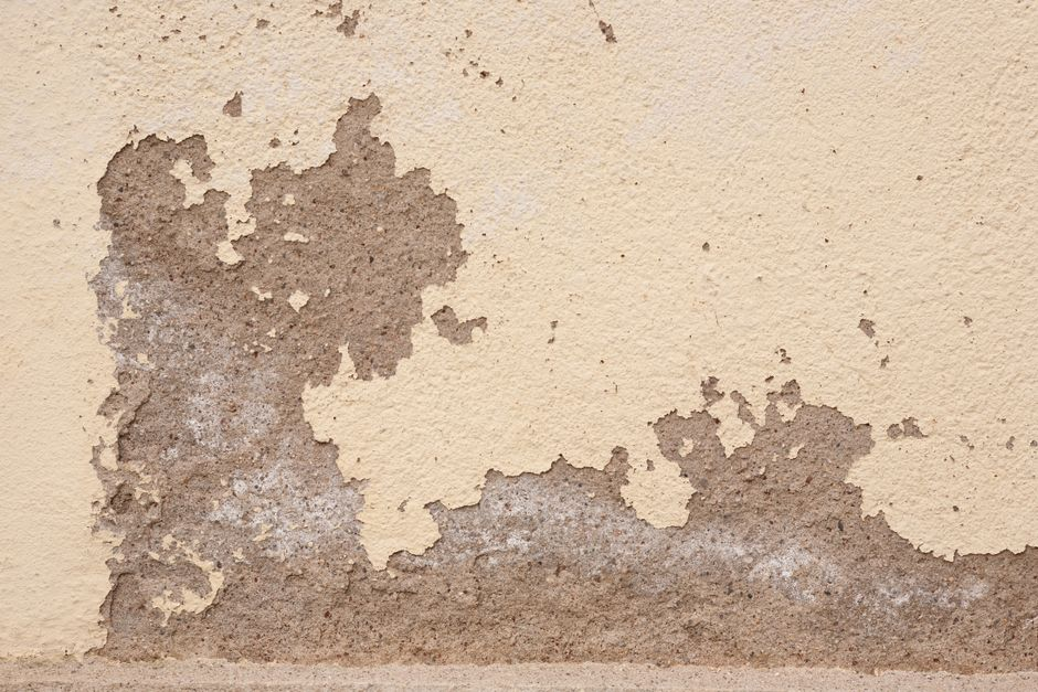 A restoration technician using a moisture meter to inspect a water-damaged wall and floor inside a home.
