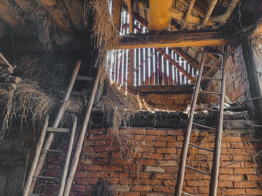 An attic or crawlspace with disturbed insulation and signs of rodent activity near stored materials.