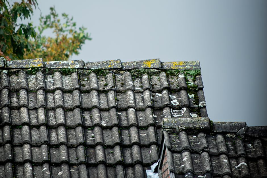 Close-up of a residential roof showing flashing and vent penetrations where subtle wear can begin.